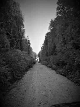 ArborCura | Baumgutachten, Baumkontrolle, Baumpflege Baumschnitt