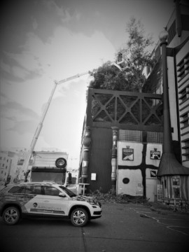 ArborCura | Baumgutachten, Baumkontrolle, Baumpflege Fuhrpark ArborCura