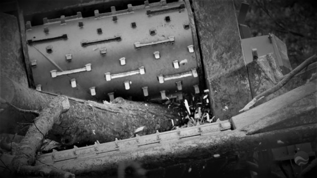 ArborCura | Baumgutachten, Baumkontrolle, Baumpflege Häckseln