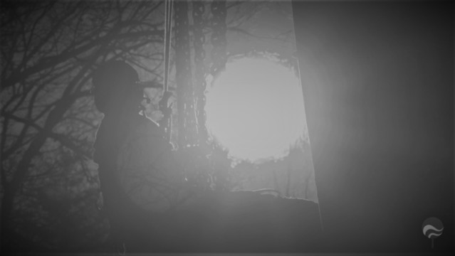 ArborCura | Baumgutachten, Baumkontrolle, Baumpflege Kranabtragung