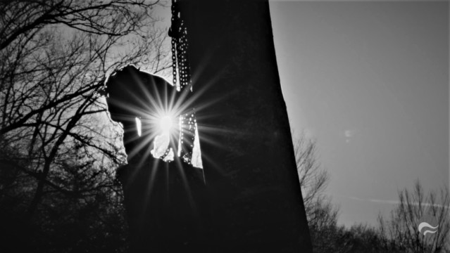 ArborCura | Baumgutachten, Baumkontrolle, Baumpflege Kranabtragung