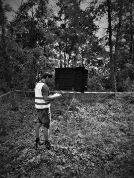 ArborCura | Baumgutachten, Baumkontrolle, Baumpflege Baumkontrolle Monitoring Schädlingsbekämpfung Baumpflege