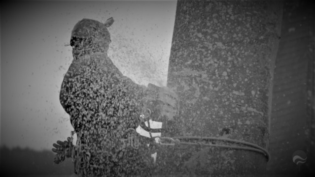 ArborCura | Baumgutachten, Baumkontrolle, Baumpflege Seilklettertechnik