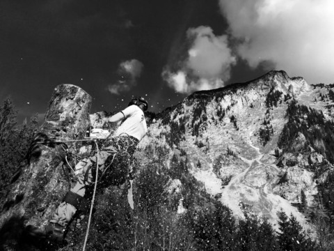 ArborCura | Baumgutachten, Baumkontrolle, Baumpflege Seilklettertechnik